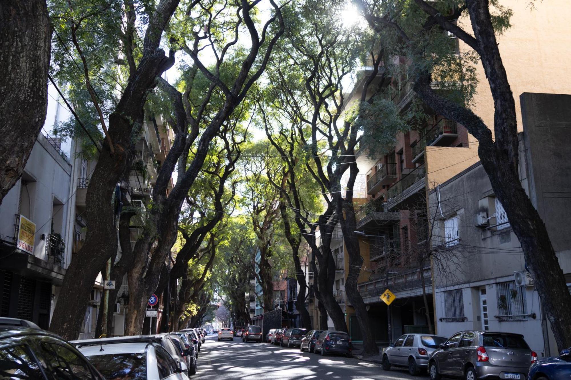 Palermo Soho G4827 - Departamentos Modernos, Amplios Y Luminosos Lägenhet Buenos Aires Exteriör bild