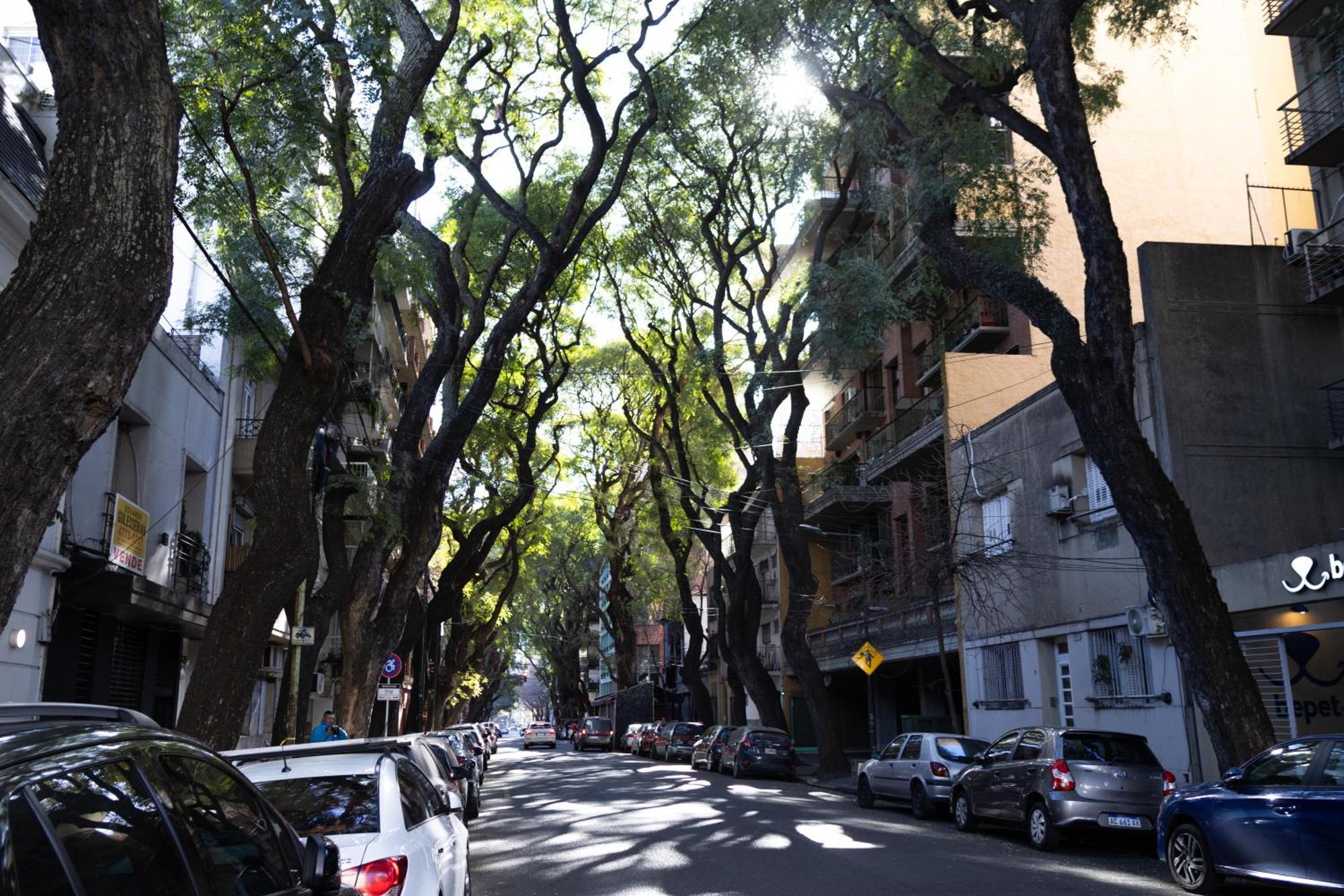 Palermo Soho G4827 - Departamentos Modernos, Amplios Y Luminosos Lägenhet Buenos Aires Exteriör bild
