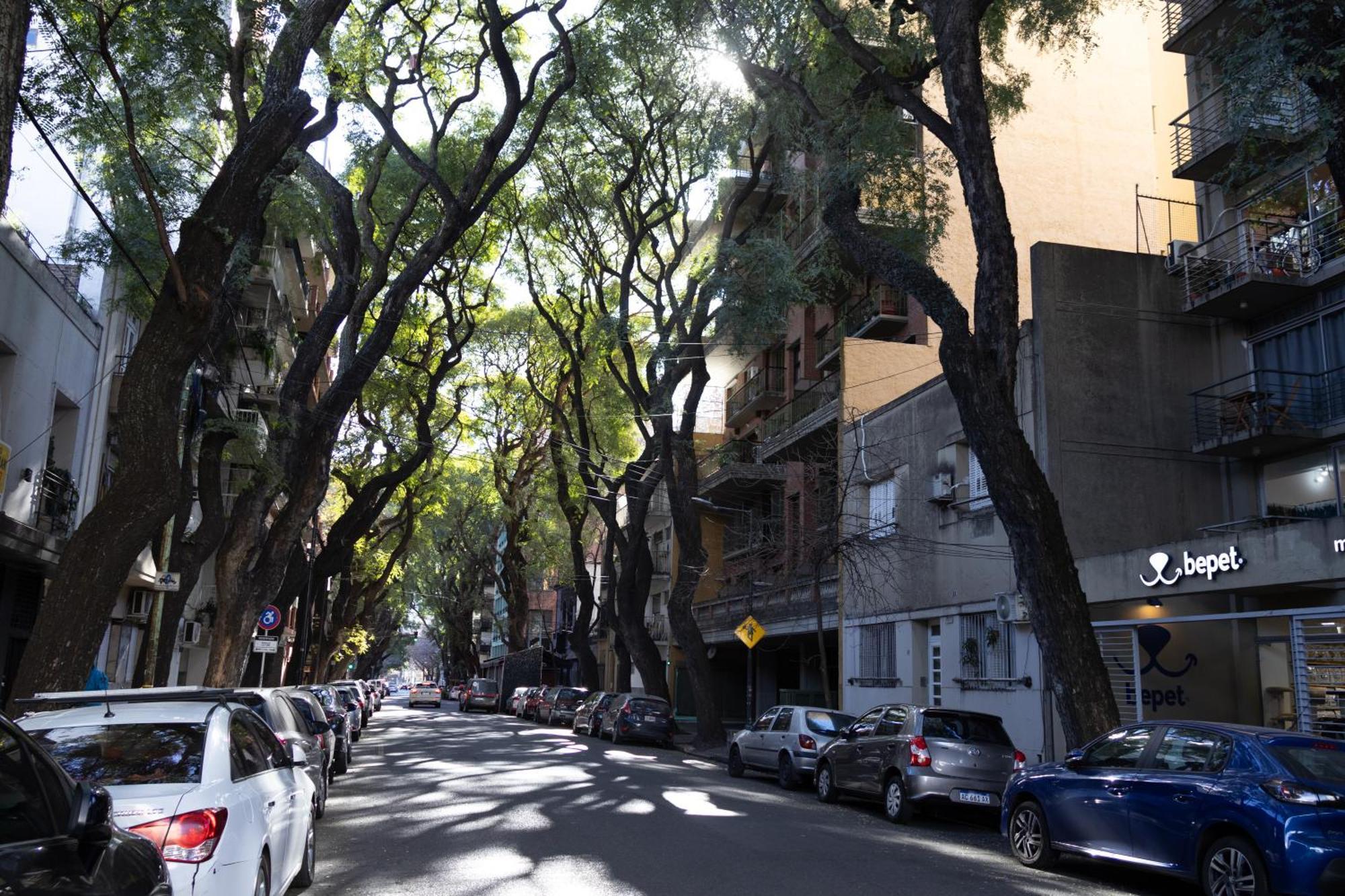 Palermo Soho G4827 - Departamentos Modernos, Amplios Y Luminosos Lägenhet Buenos Aires Exteriör bild